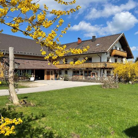 Ferienwohnungen Dopplerhof بيدينغ المظهر الخارجي الصورة