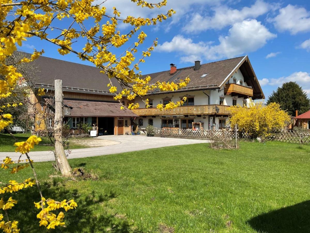 Ferienwohnungen Dopplerhof بيدينغ المظهر الخارجي الصورة