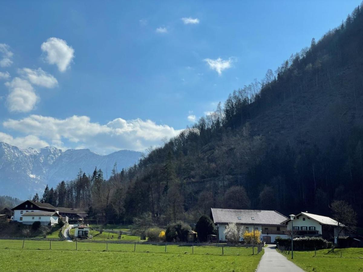 Ferienwohnungen Dopplerhof بيدينغ المظهر الخارجي الصورة